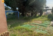 Country house with land for sale on España, Lepe, ref: TR398247 photo