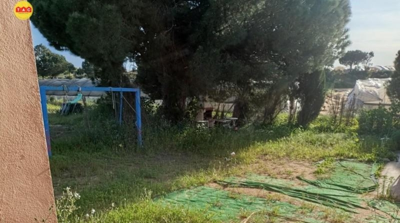 Murcia - Alcantarilla - 6000m2