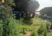 Country house with land for sale on España, Lepe, ref: TR398247 photo