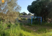 Country house with land for sale on España, Lepe, ref: TR398247 photo