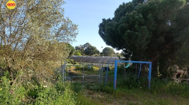 Murcia - Alcantarilla - 6000m2
