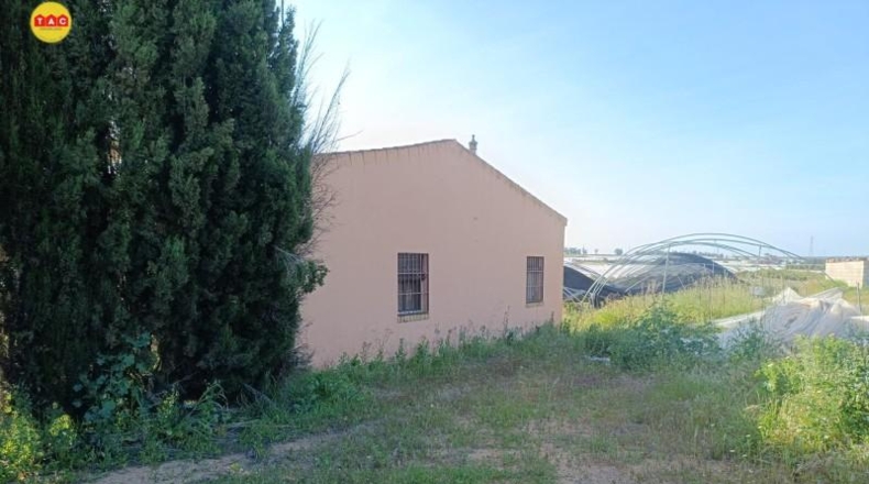 Murcia - Alcantarilla - 6000m2