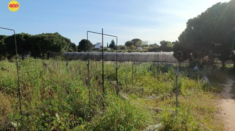Murcia - Alcantarilla - 6000m2