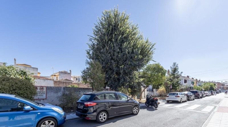 Granada - Ogíjares - 476m2