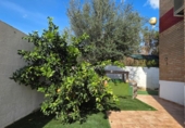 Chalet independiente con terreno en venta en la España, Alpicat, ref: TR401011 foto