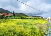 Sòl urbà en venda a la España, Tegueste, ref.: TR396102 foto