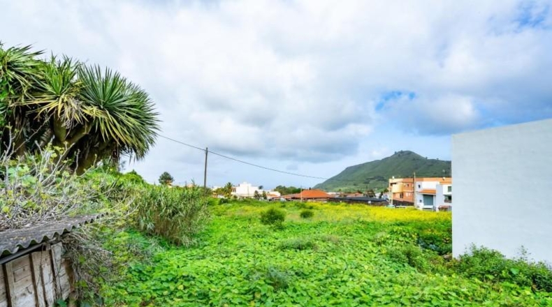 Santa Cruz de Tenerife - Tegueste - 2015m2