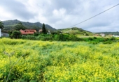 Sòl urbà en venda a la España, Tegueste, ref.: TR396102 foto