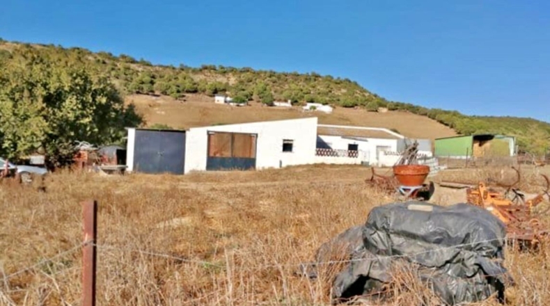 Cádiz - Вехер-де-ла-Фронтера - 24000m2