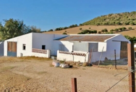 Vejer de la Frontera 24000&nbsp;m² 