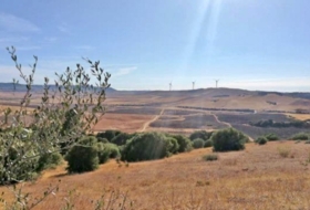 Vejer de la Frontera 24000&nbsp;m² 