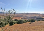 Finca rústica en venta en Vejer de la Frontera ref: TR395174 foto
