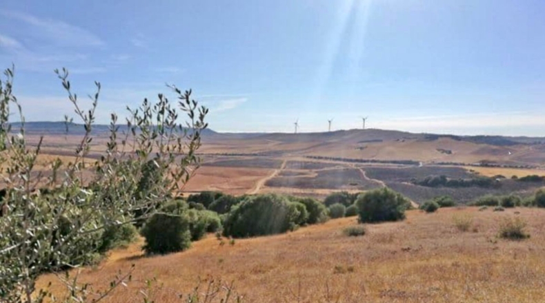 Cádiz - Вехер-де-ла-Фронтера - 24000m2