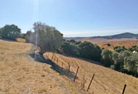 Vejer de la Frontera 24000&nbsp;m² 