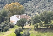 Finca rústica en venda a Almogía ref.: TR395171 foto