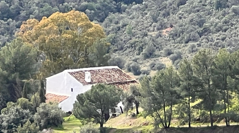 Malaga - Almogía - 197m2