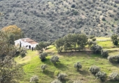 Finca rústica en venda a Almogía ref.: TR395171 foto
