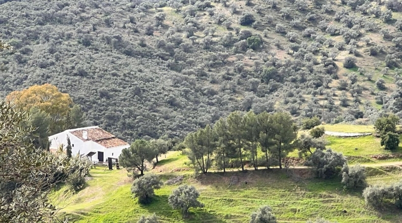 Malaga - Almogía - 197m2