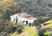 Finca rústica en venda a Almogía ref.: TR395171 foto
