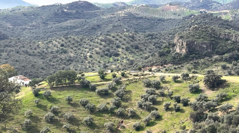 Malaga - Almogía - 197m2