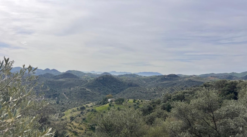 Malaga - Almogía - 197m2