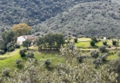 Finca rústica en venda a Almogía ref.: TR395171 foto