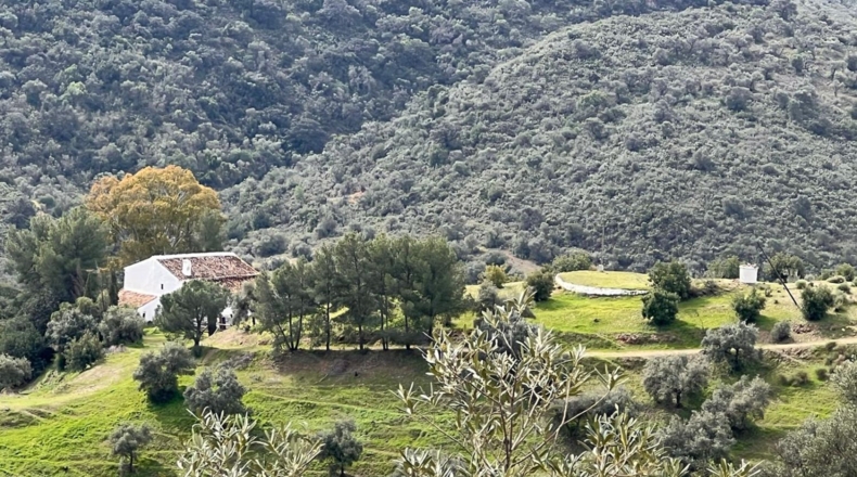 Malaga - Almogía - 197m2