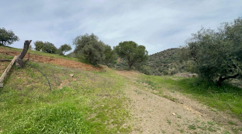 Malaga - Almogía - 197m2