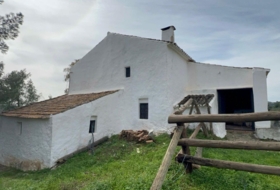 Foto 18