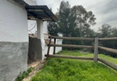 Finca rústica en venda a Almogía ref.: TR395171 foto