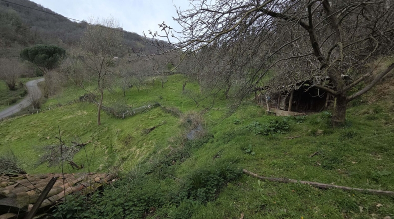 Asturias - El Praón - 2000m2