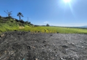 Finca rústica en venda a Estación de Cártama ref.: TR396201 foto