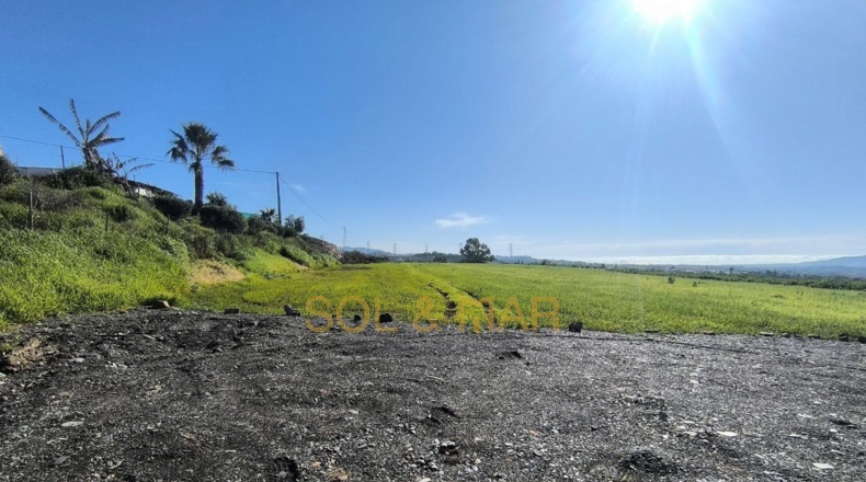 Málaga - Cártama - 4100m2
