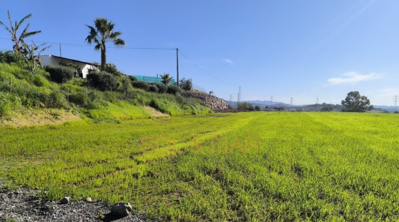 Málaga - Cártama - 4100m2