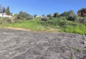 Finca rústica en venda a Estación de Cártama ref.: TR396201 foto