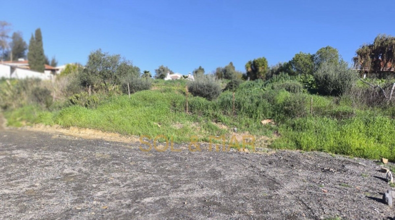 Málaga - Cártama - 4100m2