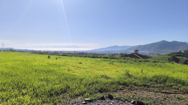 Málaga - Cártama - 4100m2