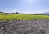 Finca rústica en venda a Estación de Cártama ref.: TR396201 foto