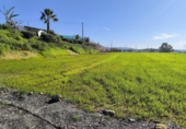Finca rústica en venda a Estación de Cártama ref.: TR396201 foto