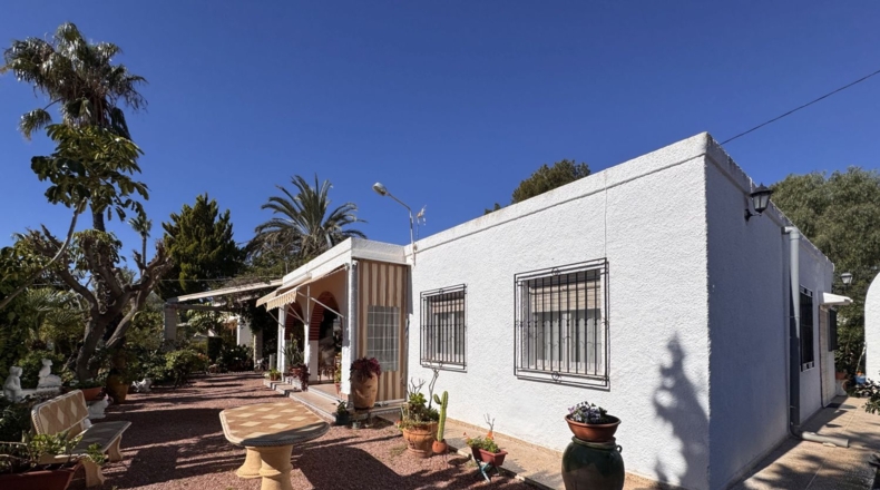 Alicante - Crevillente - 2000m2