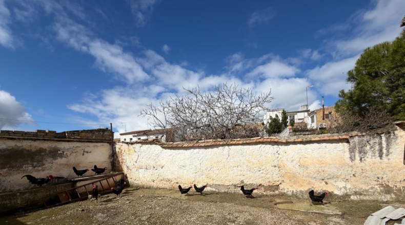 Sevilla - El Rubio - 313m2