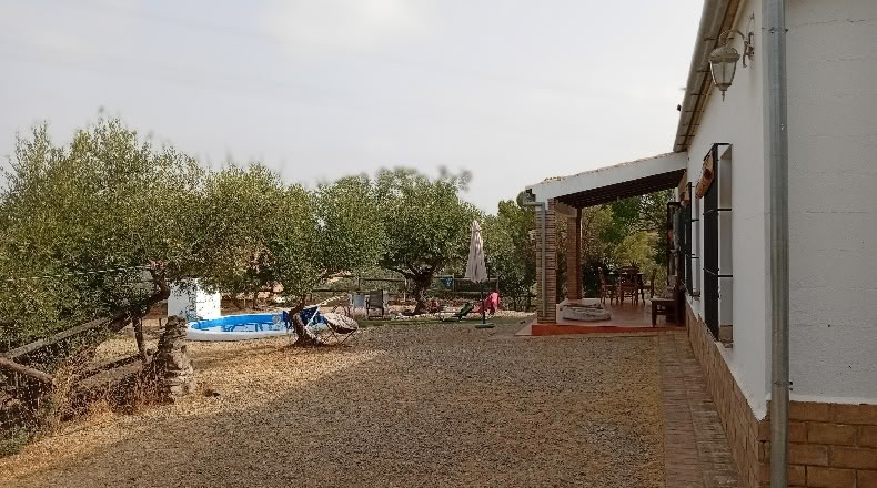 Sevilla - La Puebla de los Infantes - 12000m2