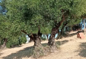 Foto 14