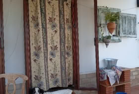 Foto 17
