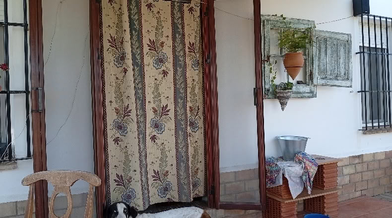 Sevilla - La Puebla de los Infantes - 12000m2