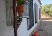 Casa de campo con terreno en venta en La Puebla de los Infantes ref: TR395156 foto