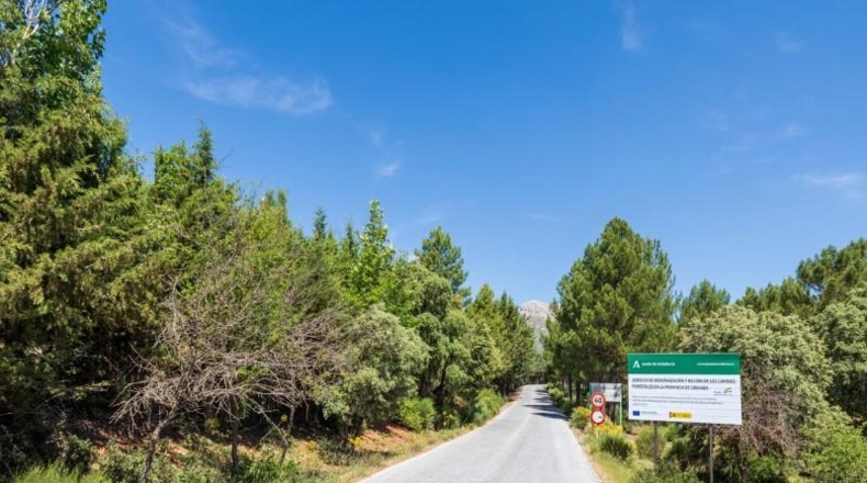 Гранада - Huétor de Santillán - 1509m2