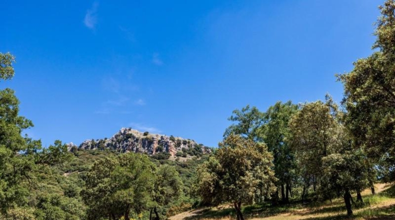 Гранада - Huétor de Santillán - 1509m2