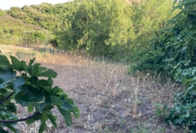 Vejer de la Frontera 1800&nbsp;m² 