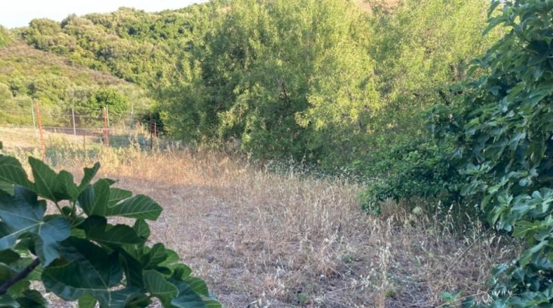 Cadiz - Vejer de la Frontera - 1800m2